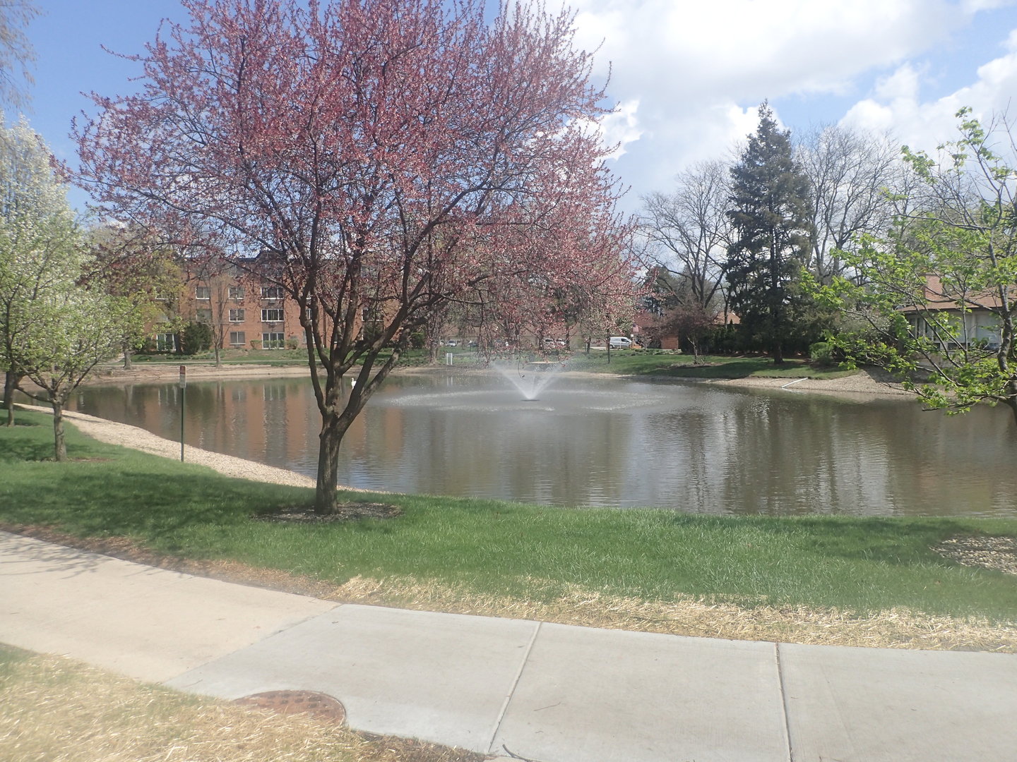 1127 South Old Wilke Road, Unit 101 Rolling Meadows, IL 60005 - Photo 5 of 30