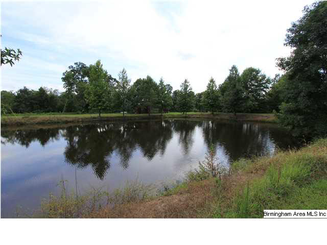 749 Dove Welch Road Wellington, AL 36279 - Photo 25 of 32