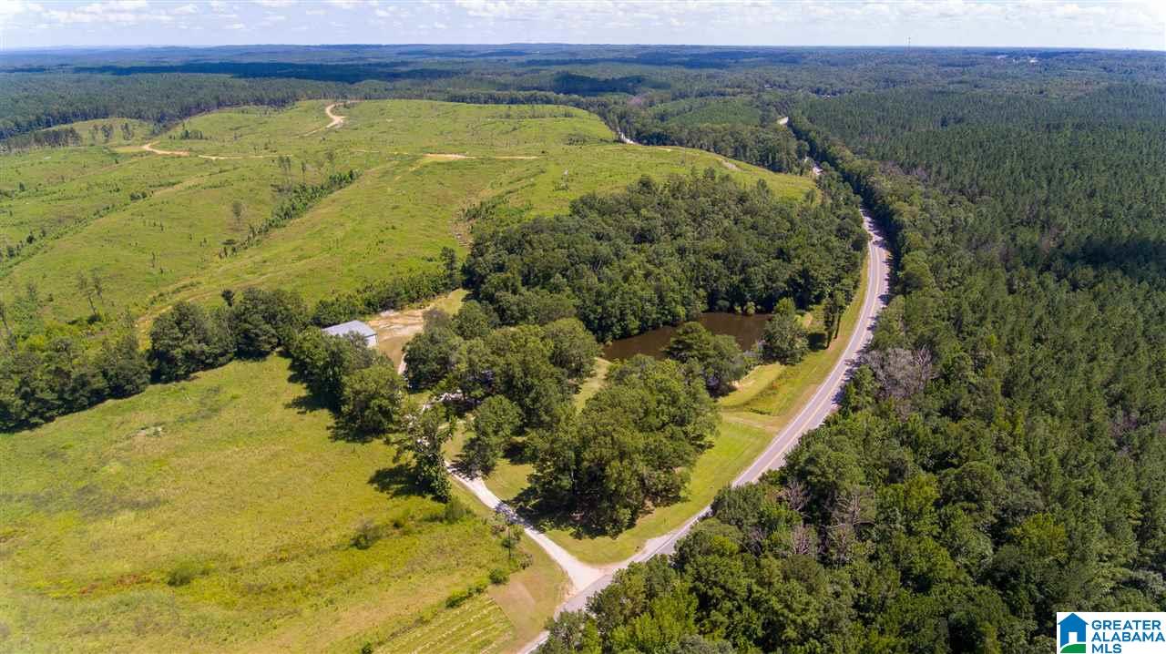 29200 Highway 31 Calera, AL 35040 - Photo 3 of 50
