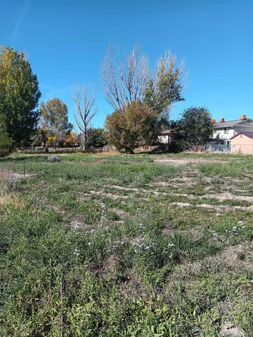 a view of a field with large trees