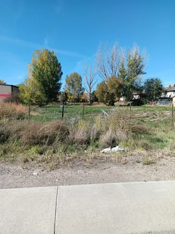 a view of a dry yard with wooden fence