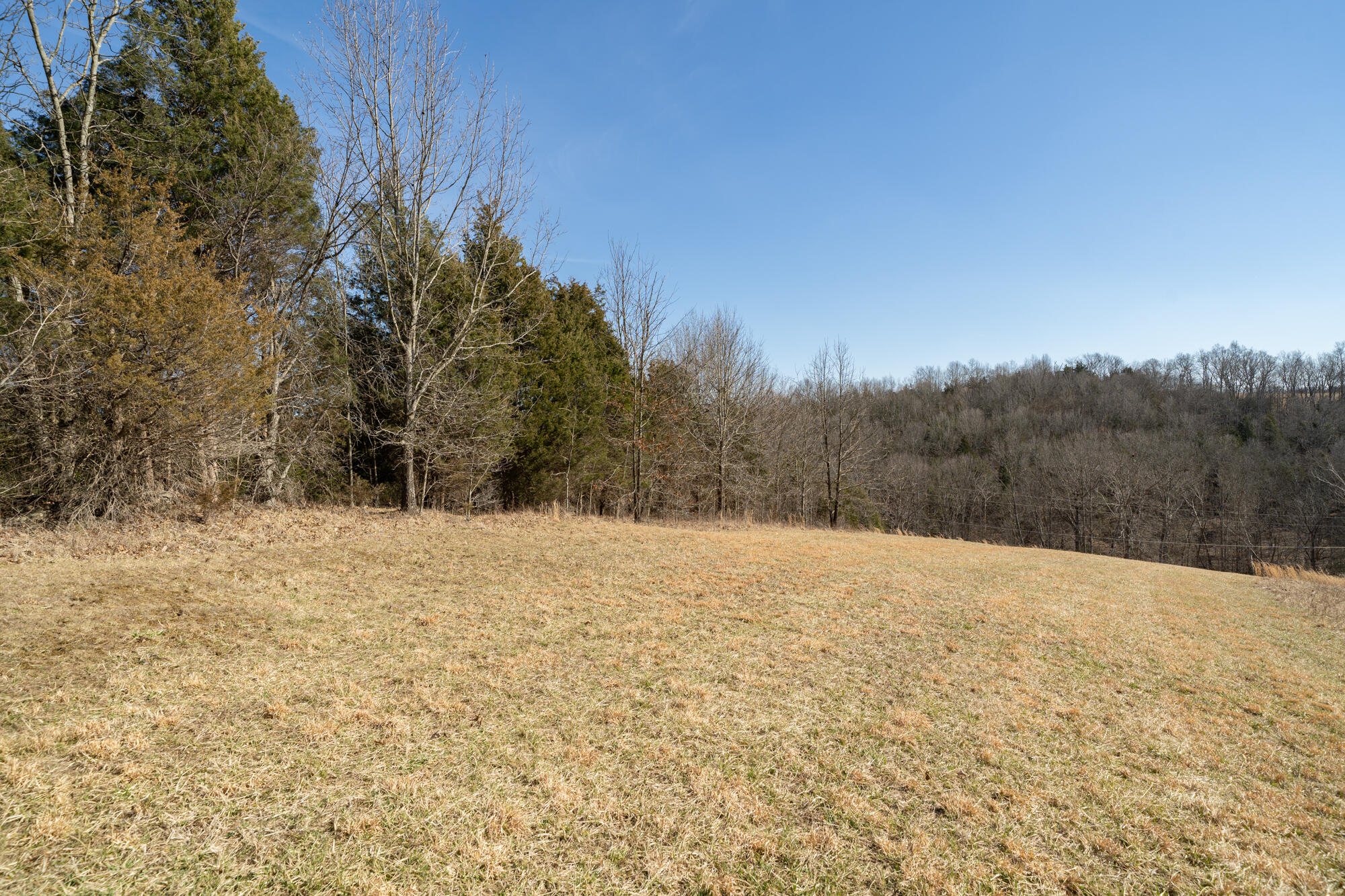 17.67-ac Fork Lick Road Corinth, KY 41010 - Photo 15 of 18 Gallery Image 15