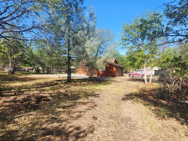 a childrens park with lots of trees