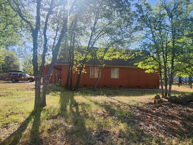 a view of a yard with plants and trees