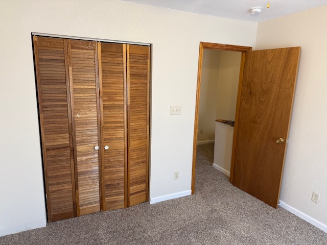 312 East Hester Street Carbondale, IL 62901 - Photo 12 of 14