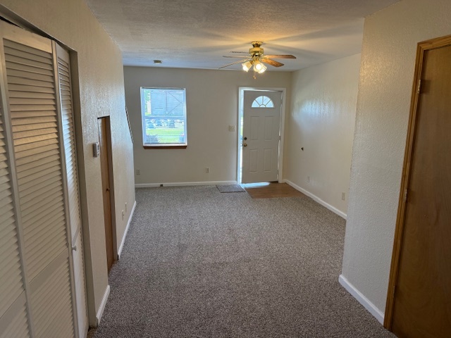 312 East Hester Street Carbondale, IL 62901 - Photo 6 of 14 wooden floor in an empty room with a window