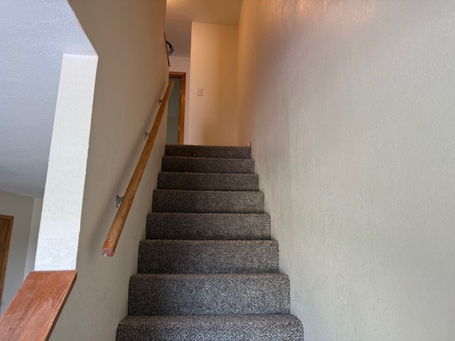 312 East Hester Street Carbondale, IL 62901 - Photo 9 of 14 a view of entryway