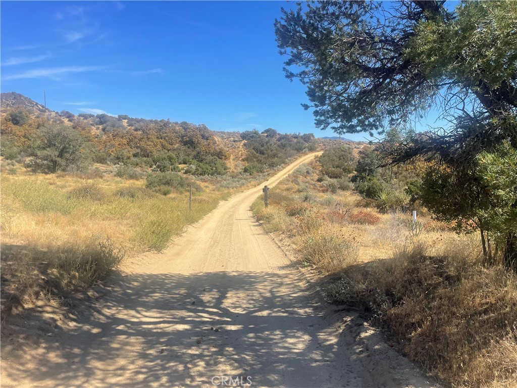 56768 Dickson Hills Road Anza, CA 92539 - Photo 29 of 37 hike