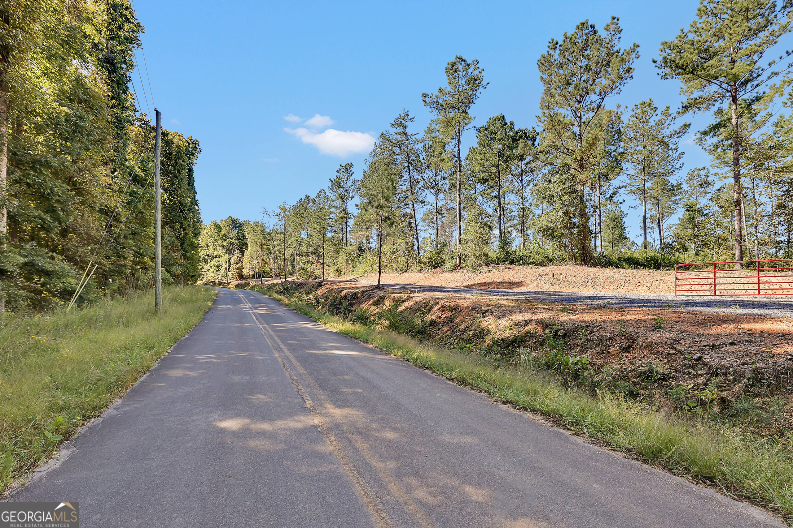 0 Cherokee County 62 Gaylesville, AL 35973 - Photo 3 of 16 a view of a street view