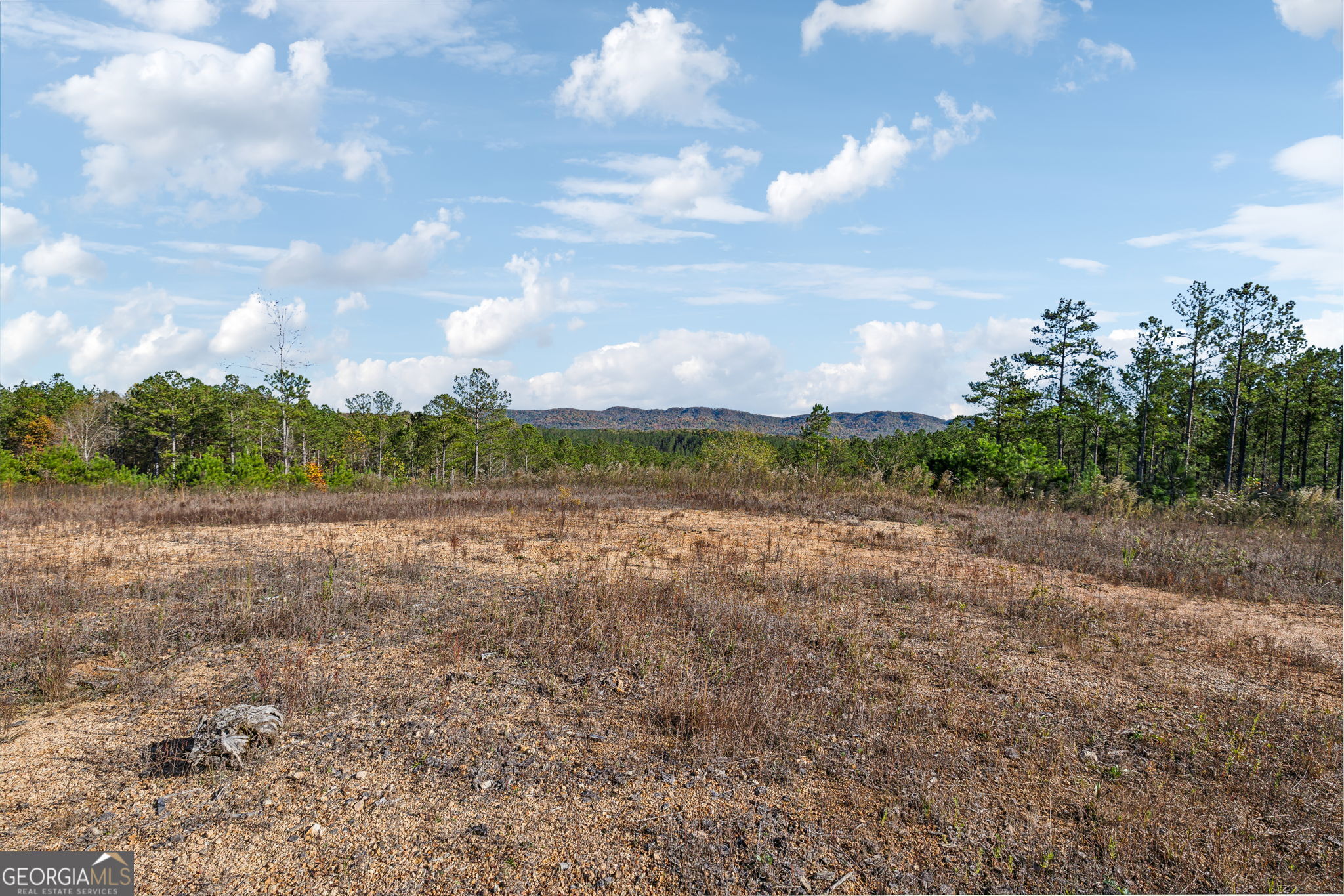 0 Cherokee County 62 Gaylesville, AL 35973 - Photo 9 of 16 a view of an outdoor space and a yard