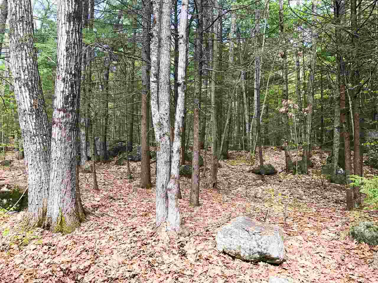 104 Collins Brook Road Meredith, NH 03253 - Photo 24 of 40