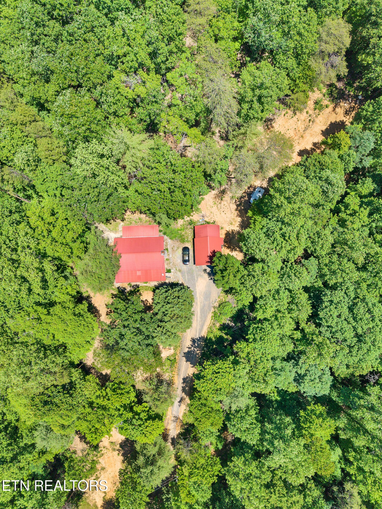 297 Dockery Road Tellico Plains, TN 37385 - Photo 19 of 23 Gallery Image 19
