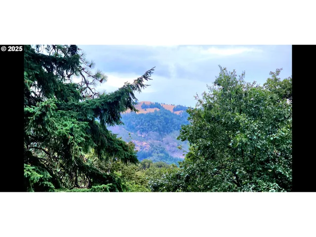 $295,000 | 711 Plin Street, Myrtle Creek, OR 97457