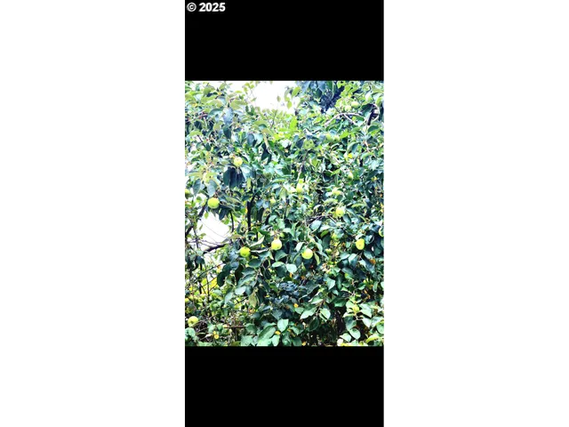 $295,000 | 711 Plin Street, Myrtle Creek, OR 97457