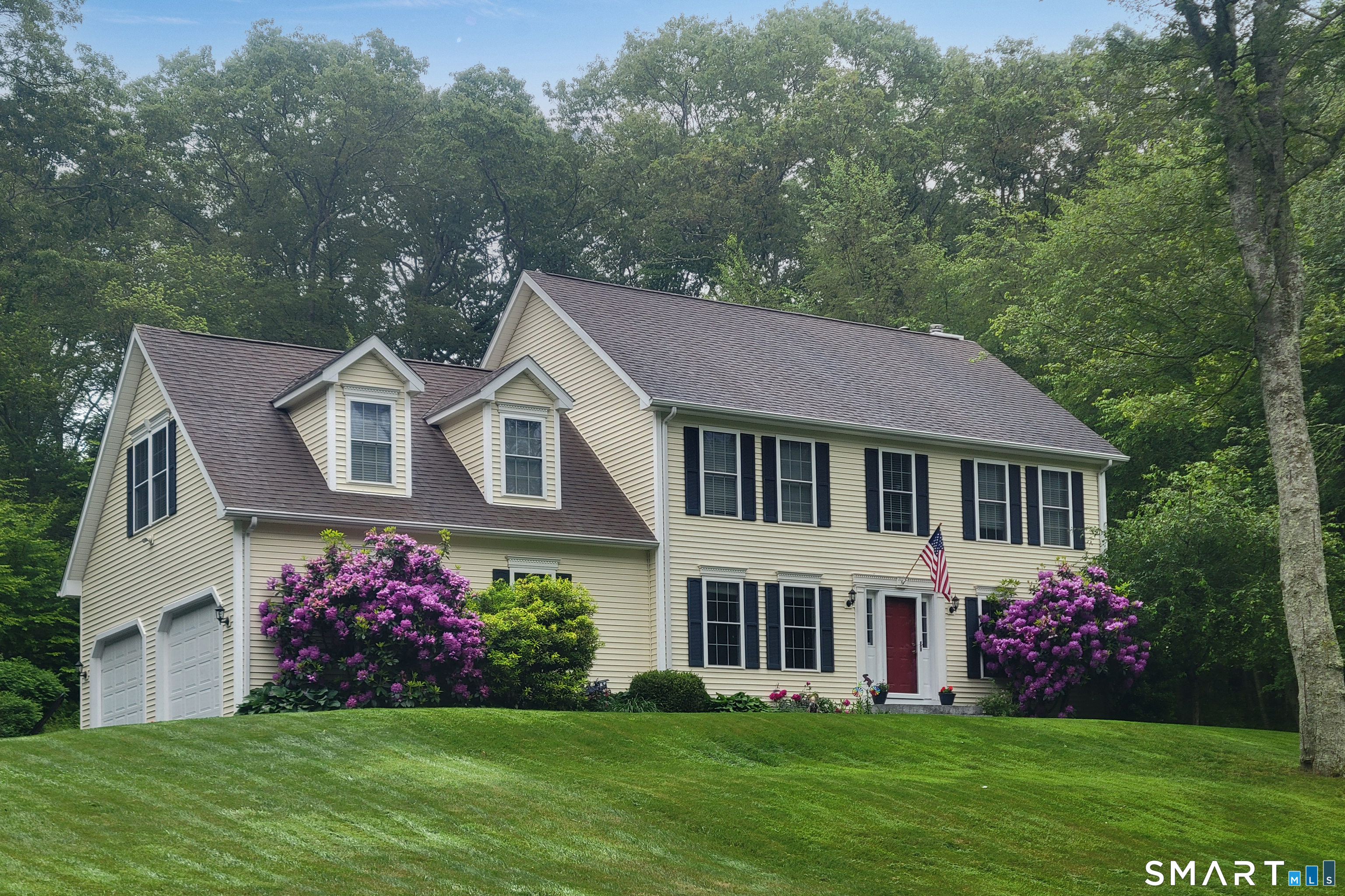 Summer view showing flowered shrubs