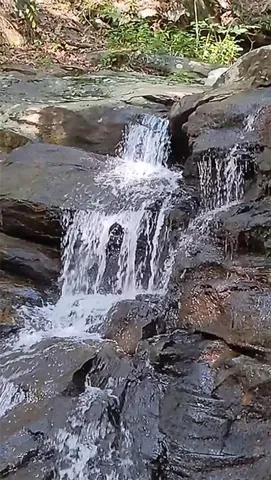 a view of a yard with wooden fence