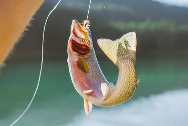 a view of a lake in middle of a house