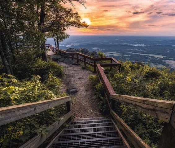 a view of a street with a yard