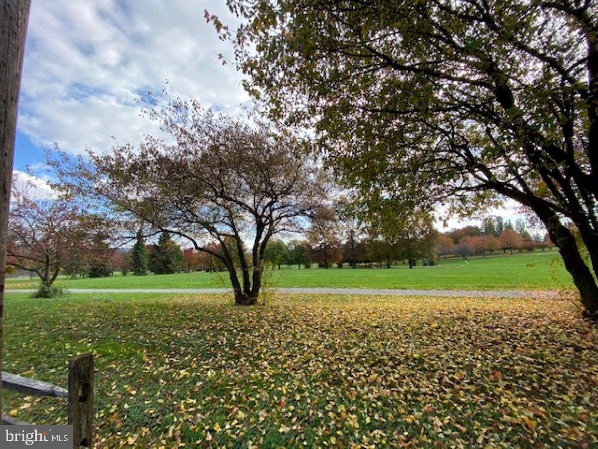 7961 Creamery Road Alburtis, PA 18011 - Photo 18 of 19 Creamery Park directly across street