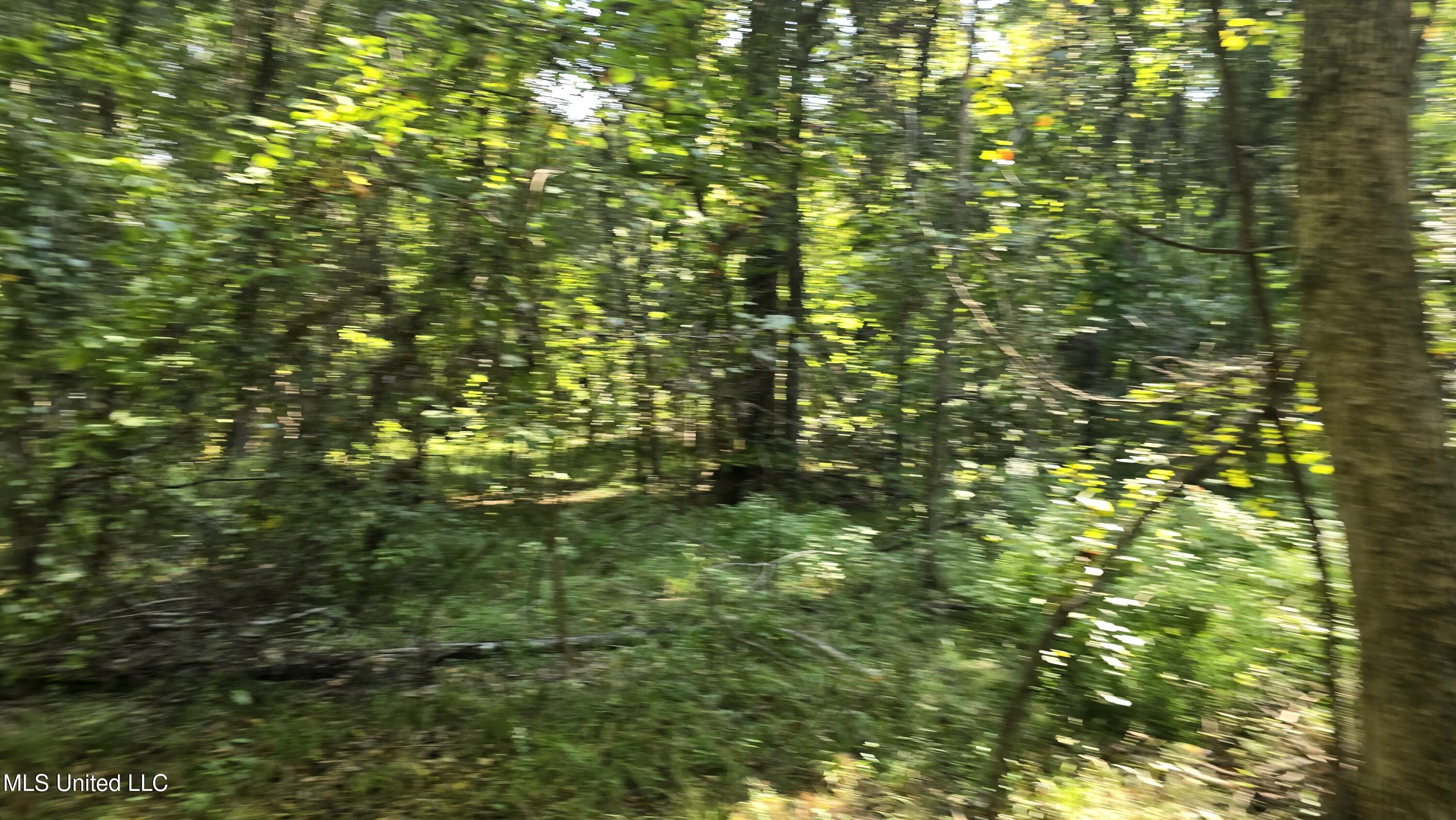 0 Nelson Corner Road Roxie, MS 39661 - Photo 22 of 49 20250915_104310