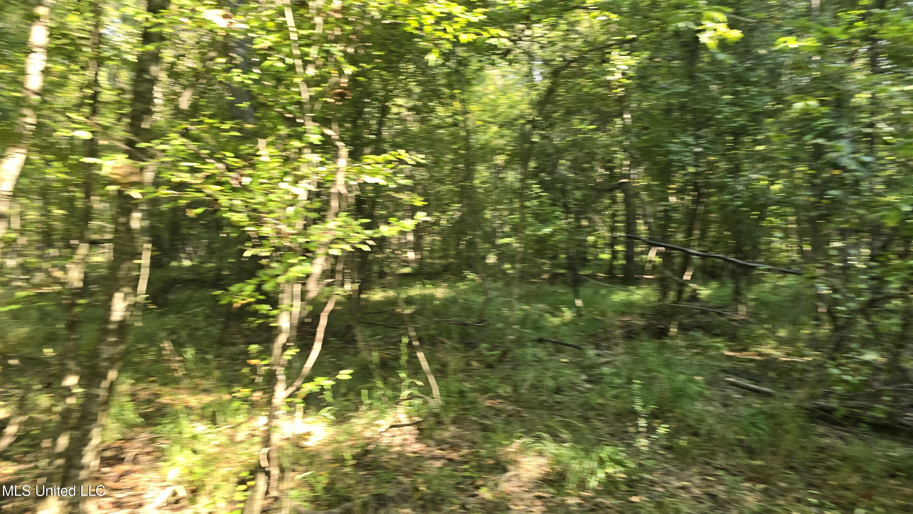 0 Nelson Corner Road Roxie, MS 39661 - Photo 23 of 49 20250915_104311