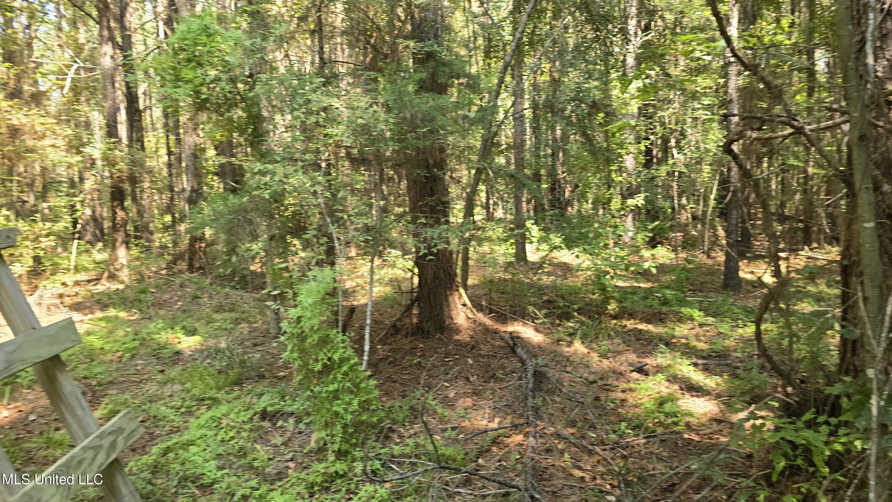 0 Nelson Corner Road Roxie, MS 39661 - Photo 34 of 49 20250915_120122