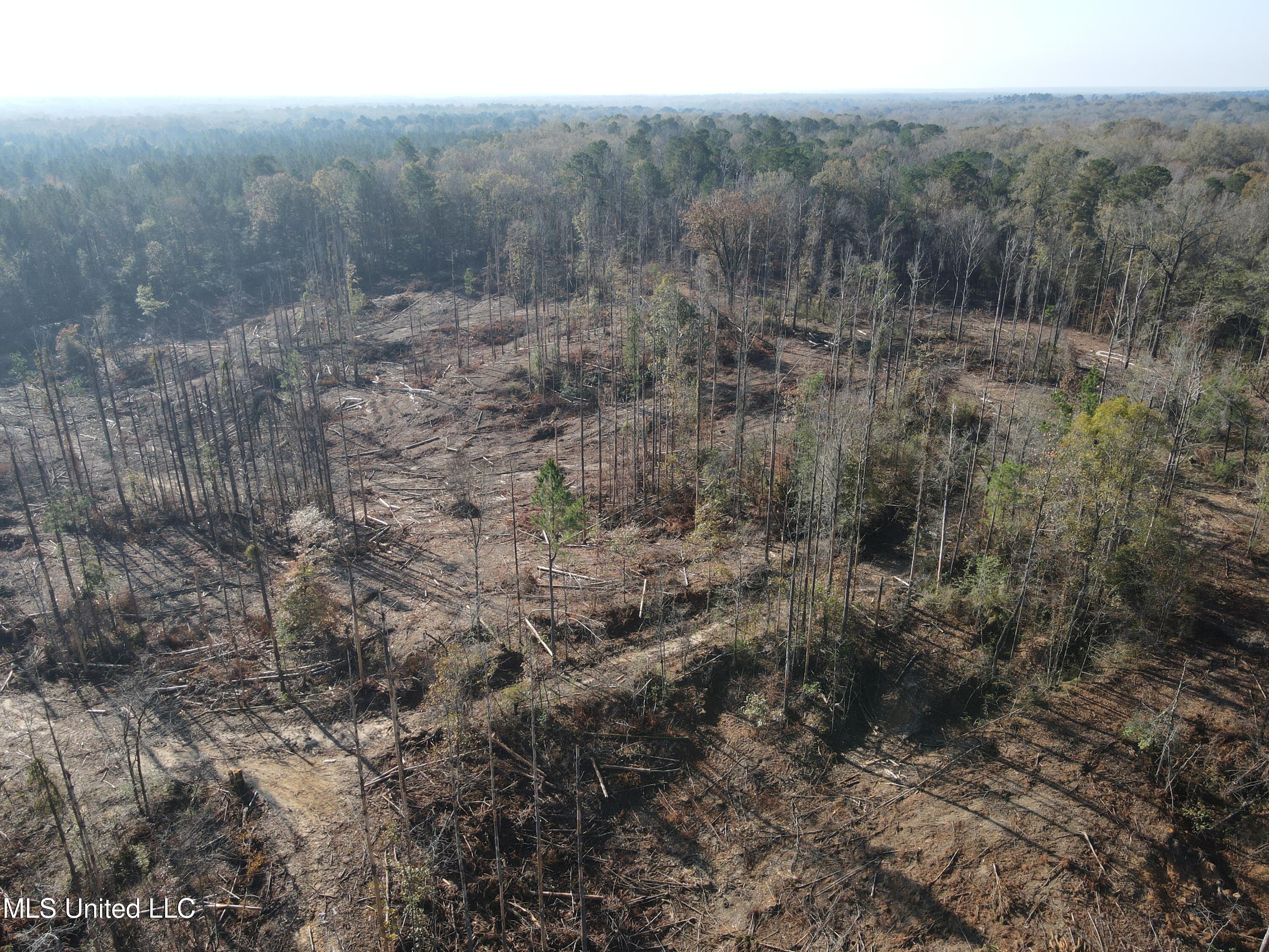 0 Nelson Corner Road Roxie, MS 39661 - Photo 47 of 49 DJI_0015