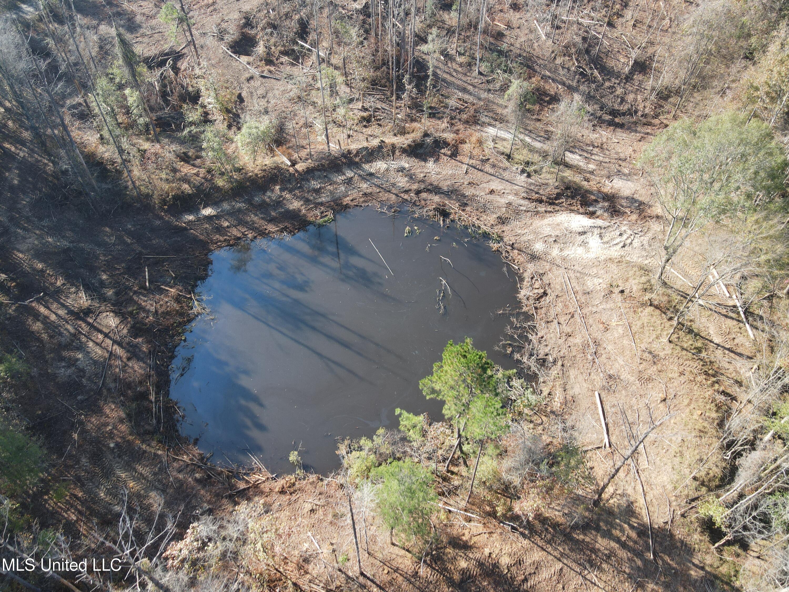 0 Nelson Corner Road Roxie, MS 39661 - Photo 49 of 49 DJI_0028