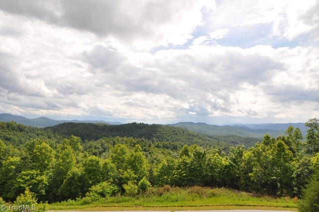 816 Sweetwater Road Boomer, NC 28606 - Photo 28 of 43 Gallery Image 28
