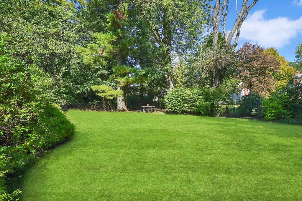 49 Marchioness Road Springfield, MA 01129 - Photo 30 of 35 a view of yard with green space