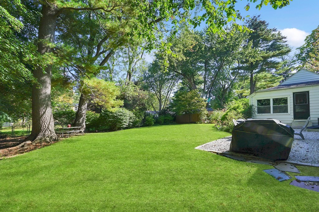 49 Marchioness Road Springfield, MA 01129 - Photo 31 of 35 a view of a couches in a backyard