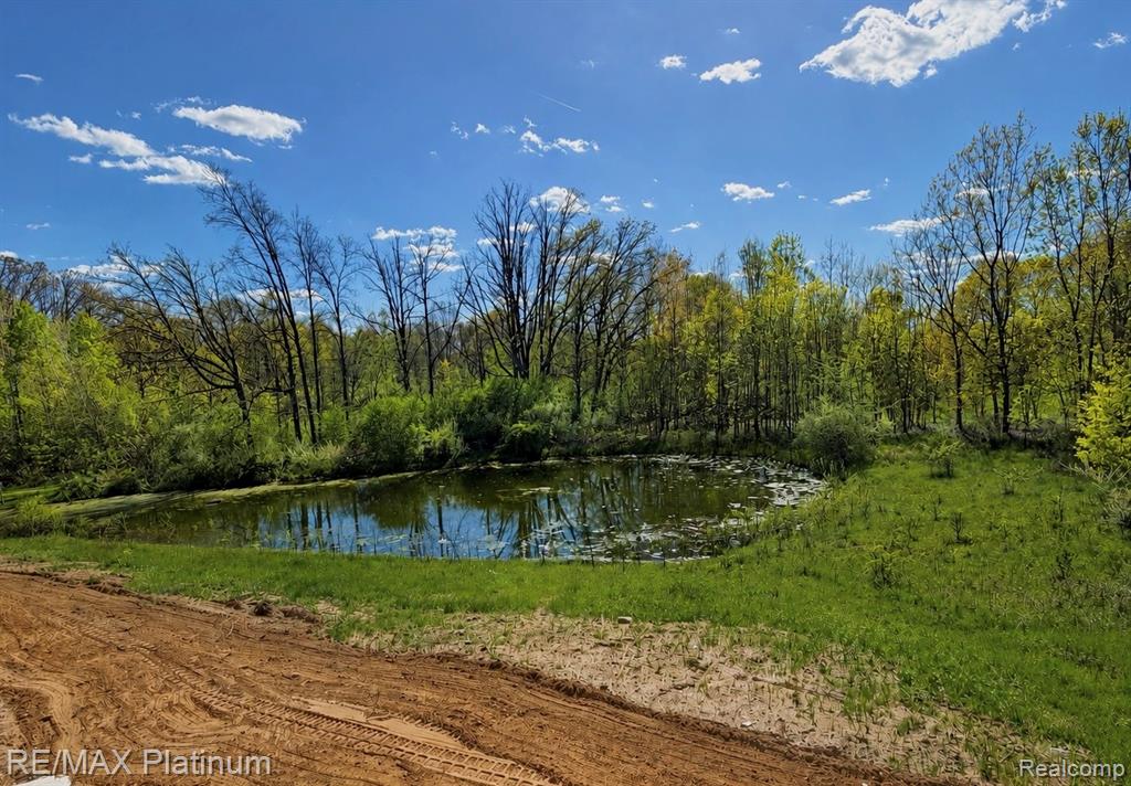 2233 Knotty Pine Trail Howell, MI 48855 - Photo 3 of 26
