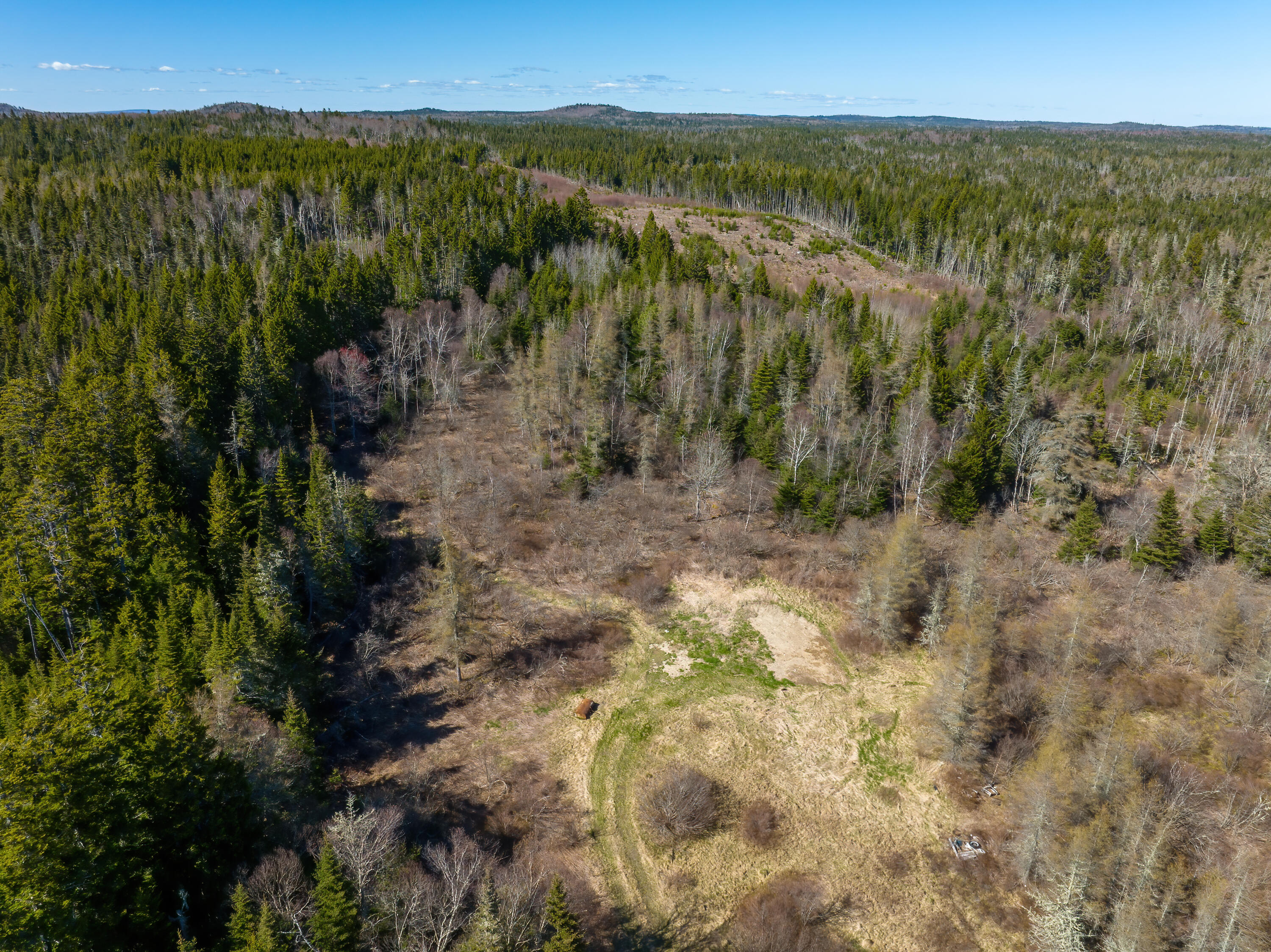 1082 Cutler Road Whiting, ME 04691 - Photo 11 of 36 15-1082 Cutler Road HiRes-DTP