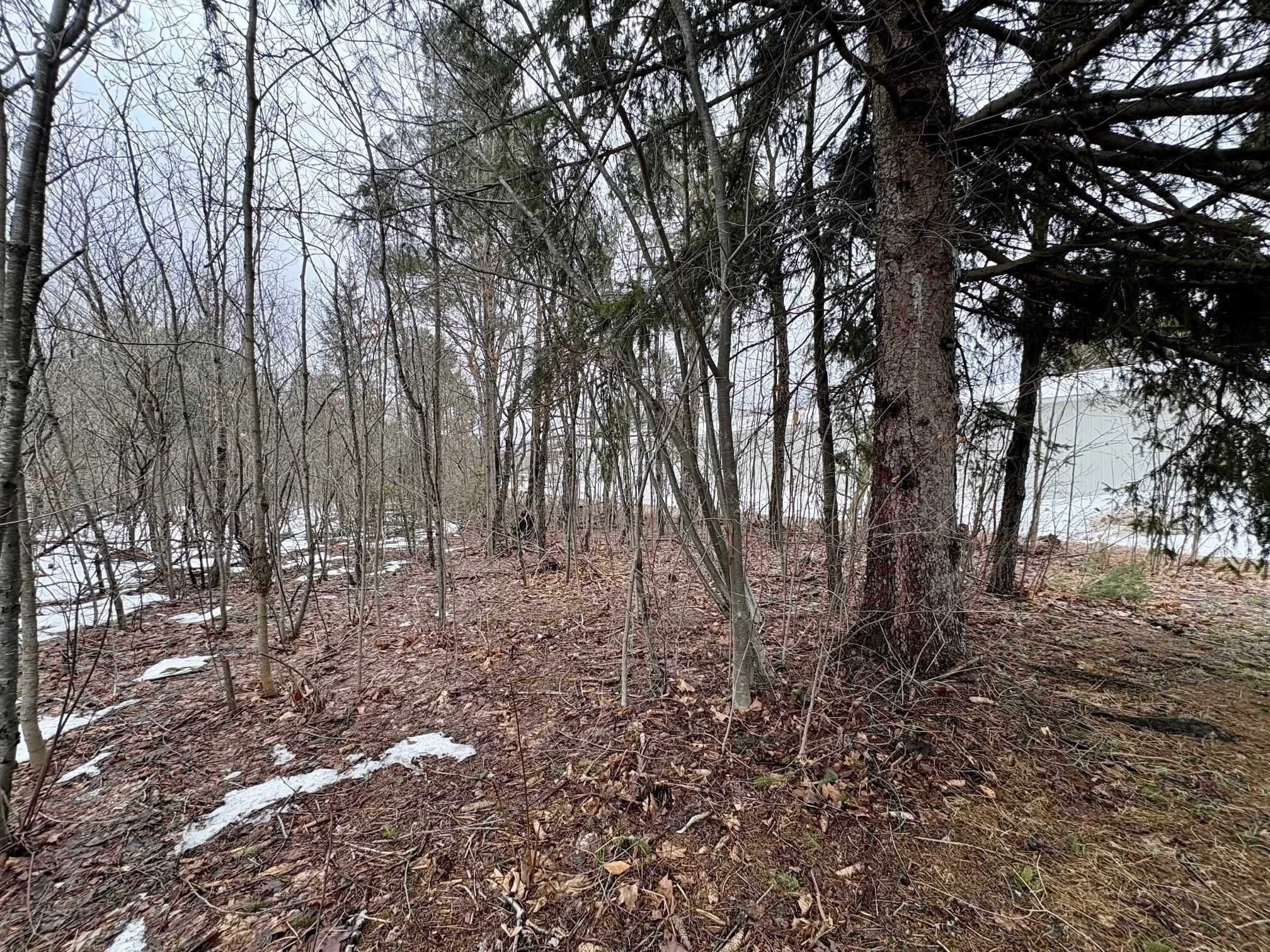 0 Cedar River Road Mancelona, MI 49659 - Photo 3 of 6