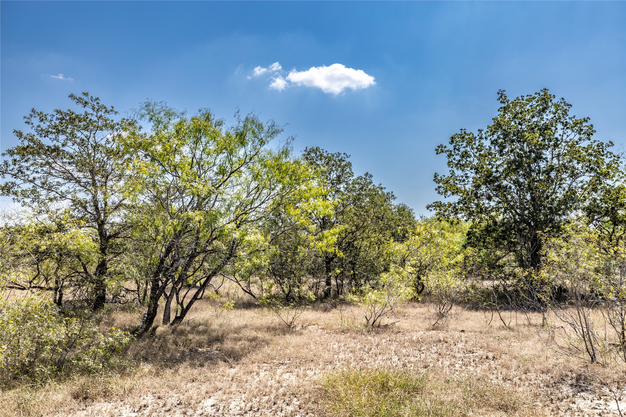 Tbd Lot 2 Tbd Road Red Rock, TX 78662 - Photo 5 of 9