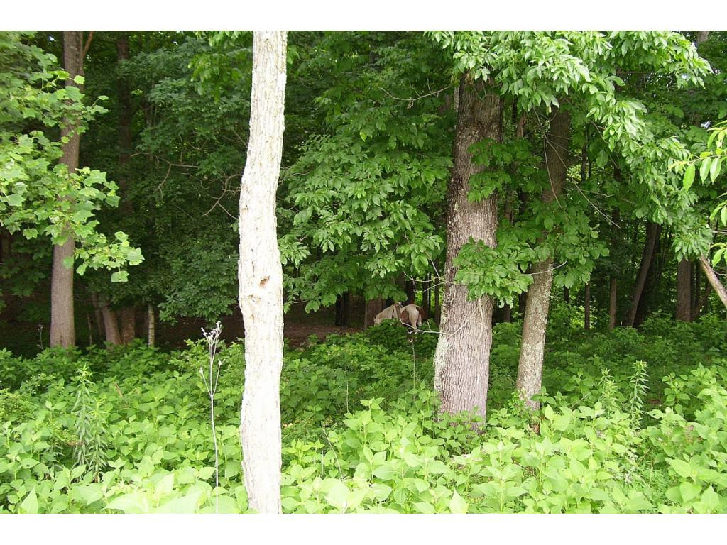 0 Haskell Station Road, Unit 7 Bristol, VA 24202 - Photo 11 of 15 Photo 11