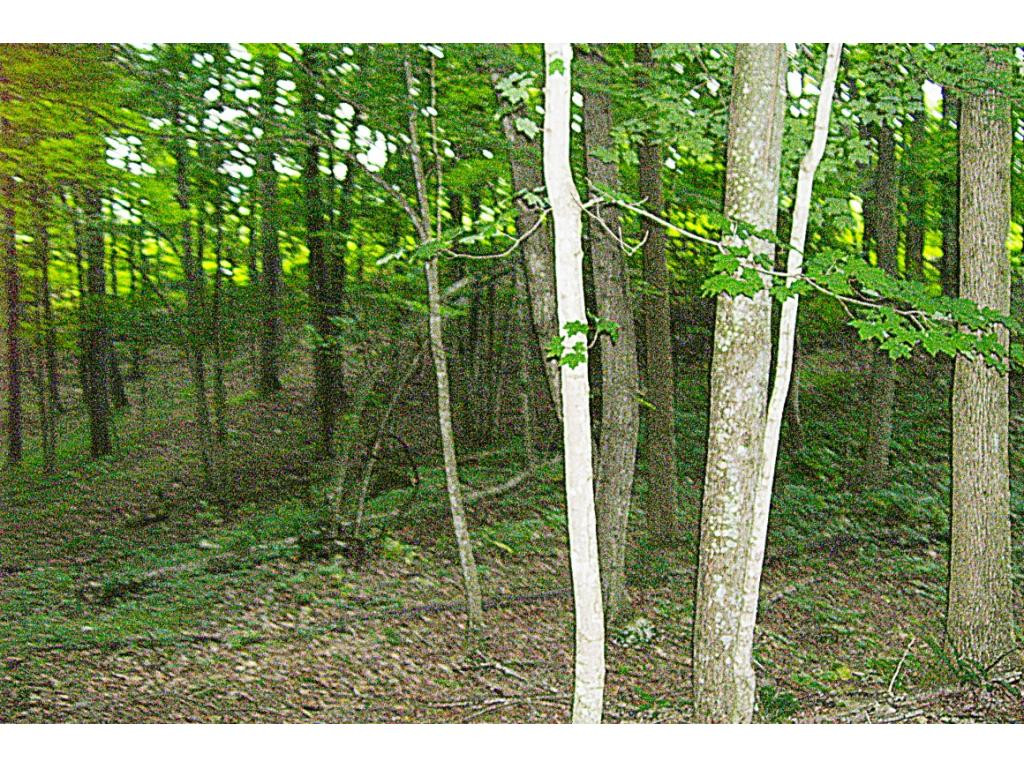 0 Haskell Station Road, Unit 7 Bristol, VA 24202 - Photo 7 of 15 Photo 7