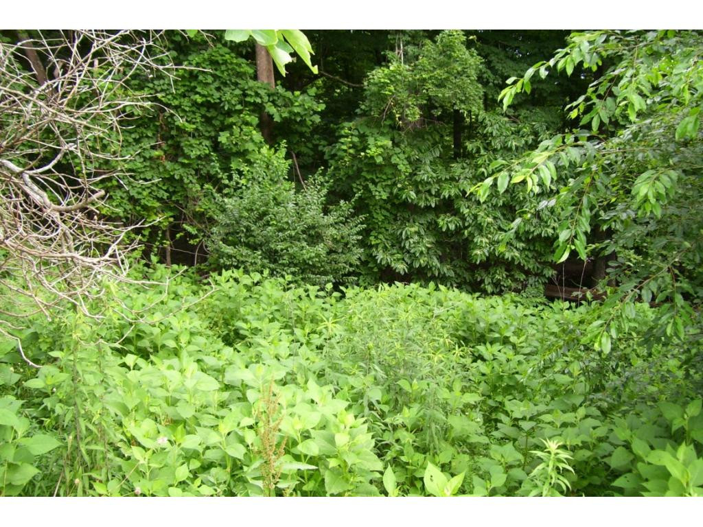 0 Haskell Station Road, Unit 7 Bristol, VA 24202 - Photo 10 of 15 Photo 10