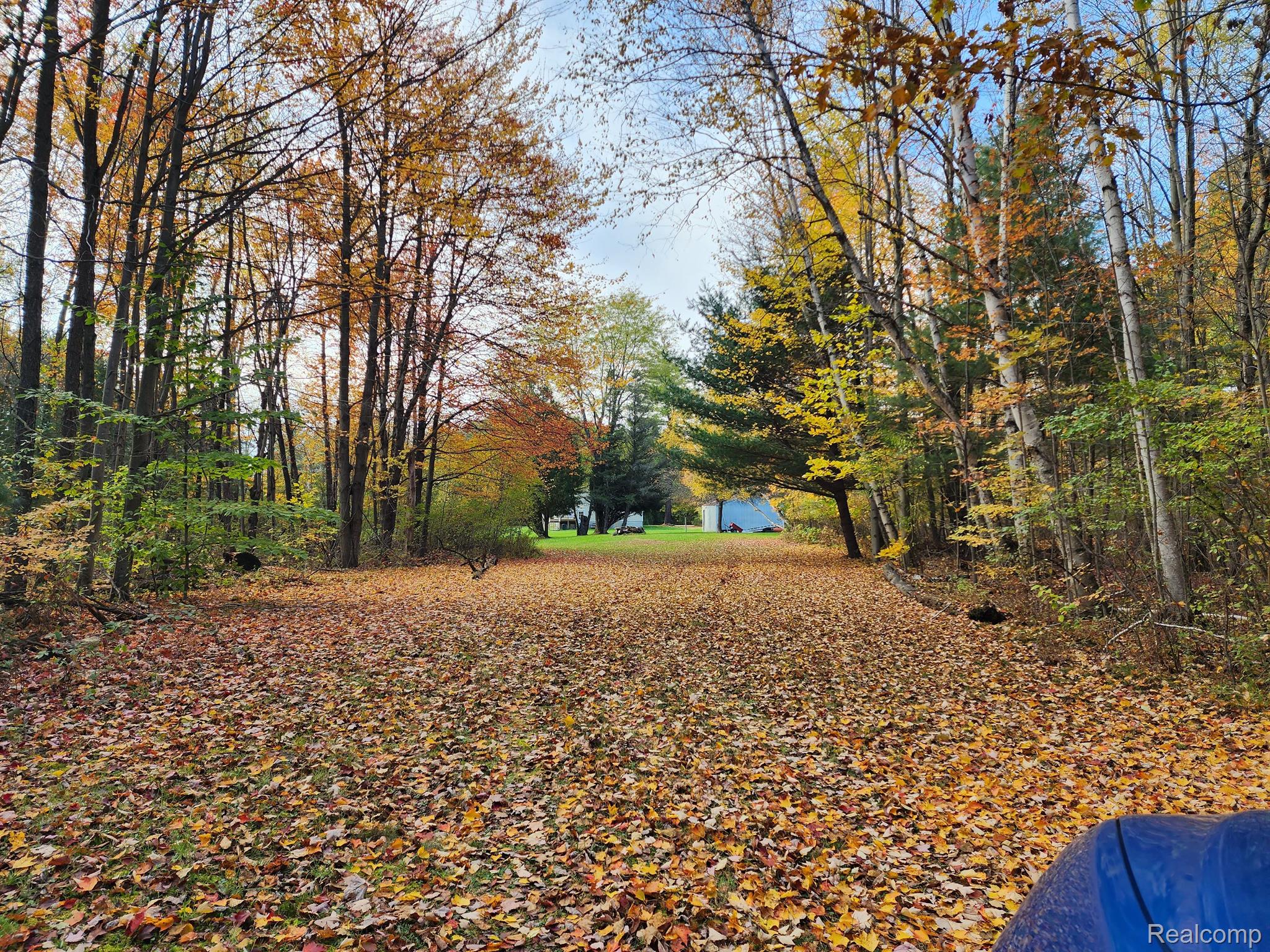 2895 Washburn Road Vassar, MI 48768 - Photo 4 of 26 Gallery Image 4