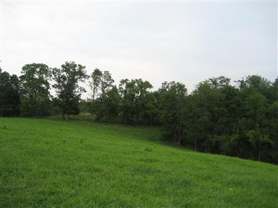 1234 Alton Station Road Lawrenceburg, KY 40342 - Photo 2 of 11 Photo 2