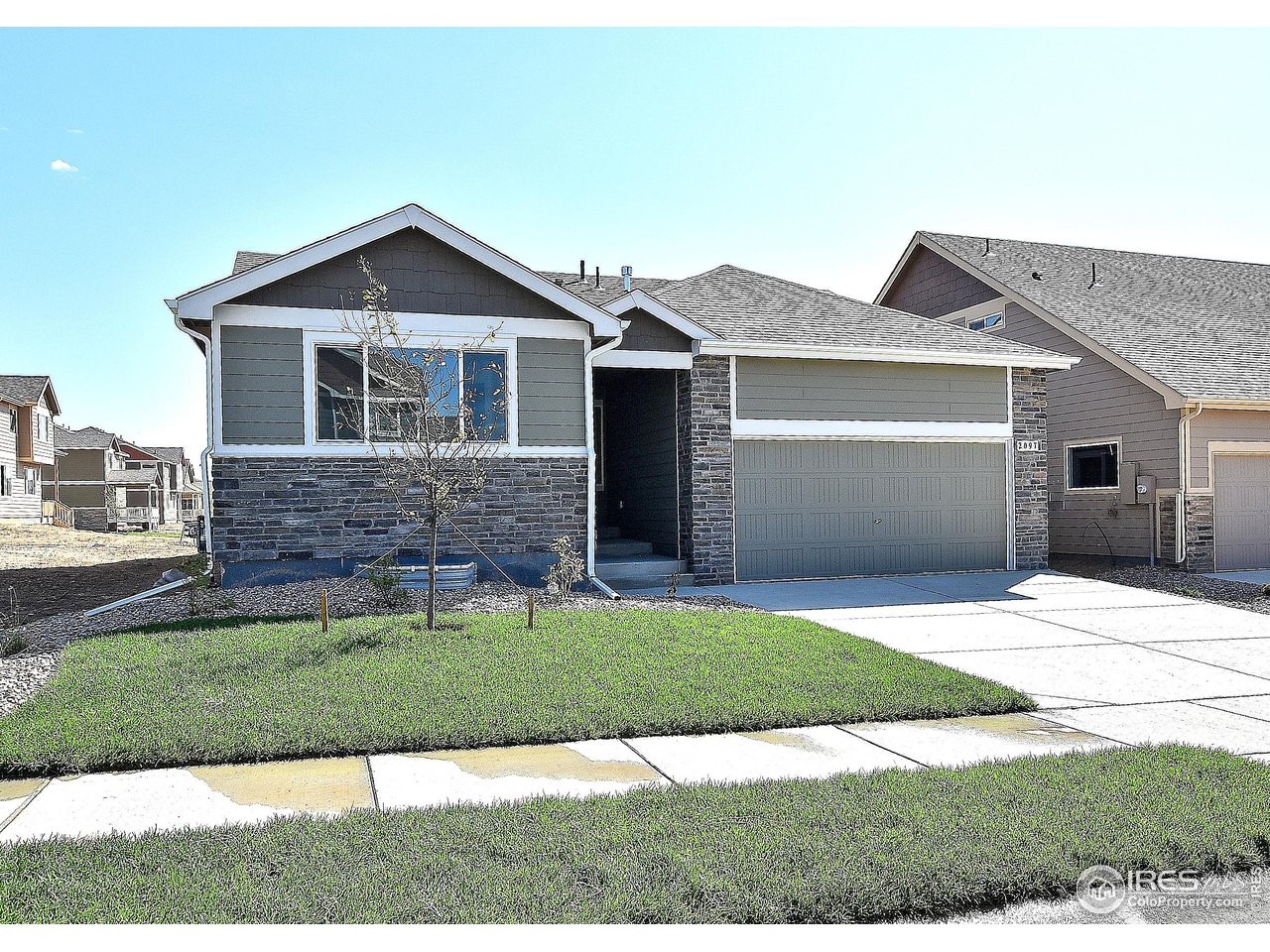 2335 Sublime Drive Windsor, CO 80550 - Photo 1 of 39 a front view of a house with a yard