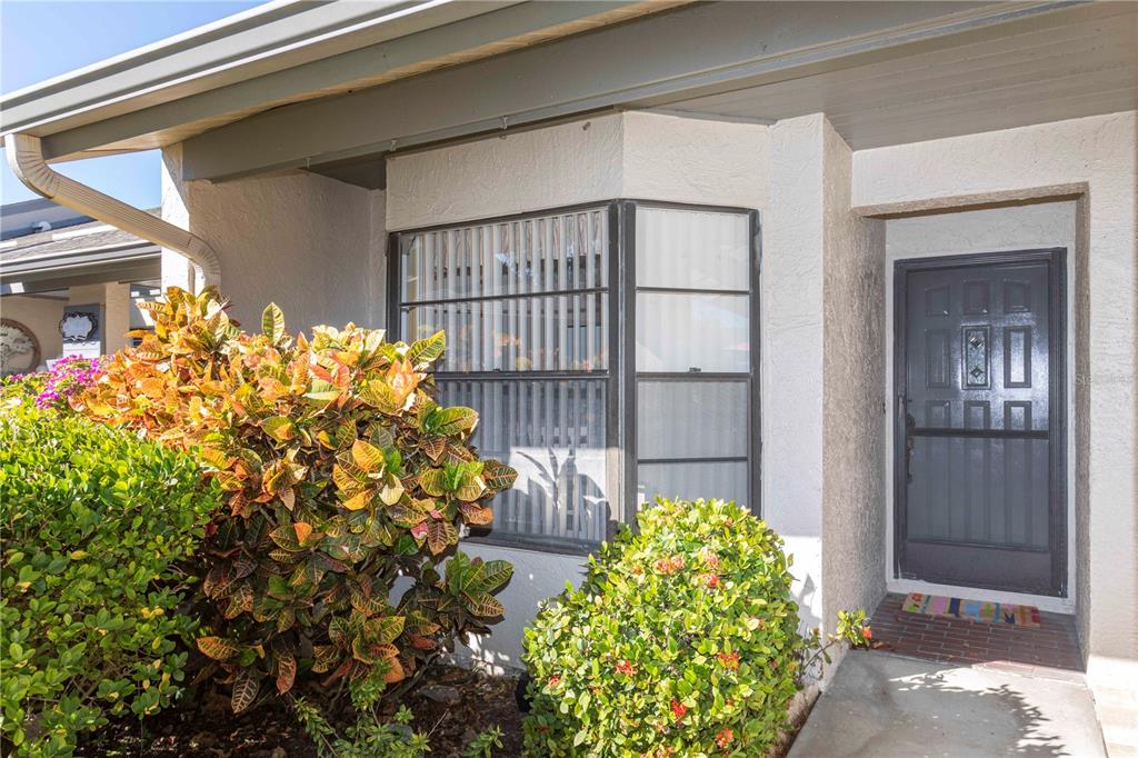 3275 Lori Lane New Port Richey, FL 34655 - Photo 3 of 59