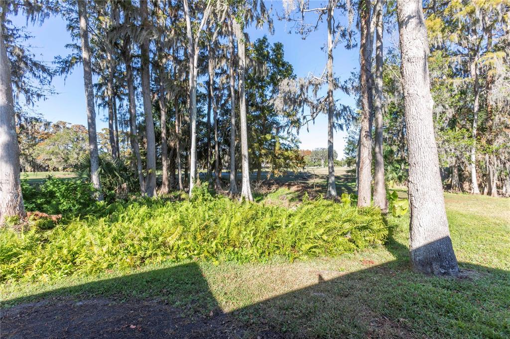 3275 Lori Lane New Port Richey, FL 34655 - Photo 31 of 59