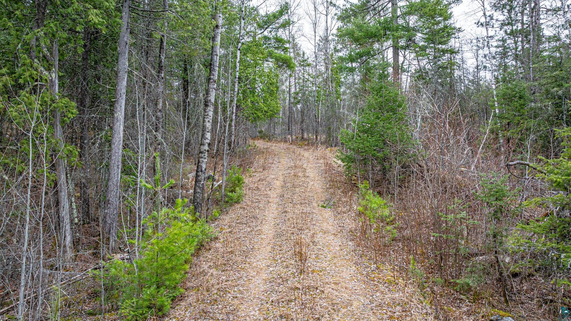 Tbd Lindbeck Road Ely, MN 55731 - Photo 6 of 44