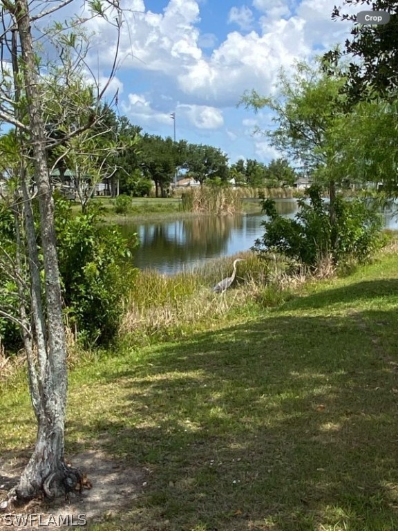 a view of a lake with houses in the background