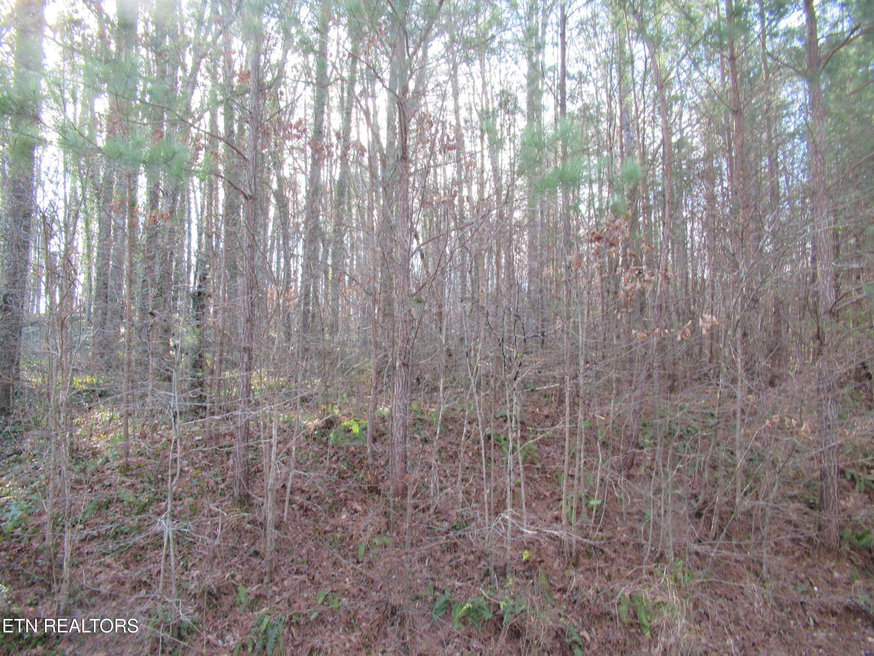 Tomotley Road Maryville, TN 37801 - Photo 6 of 12 IMG_2248