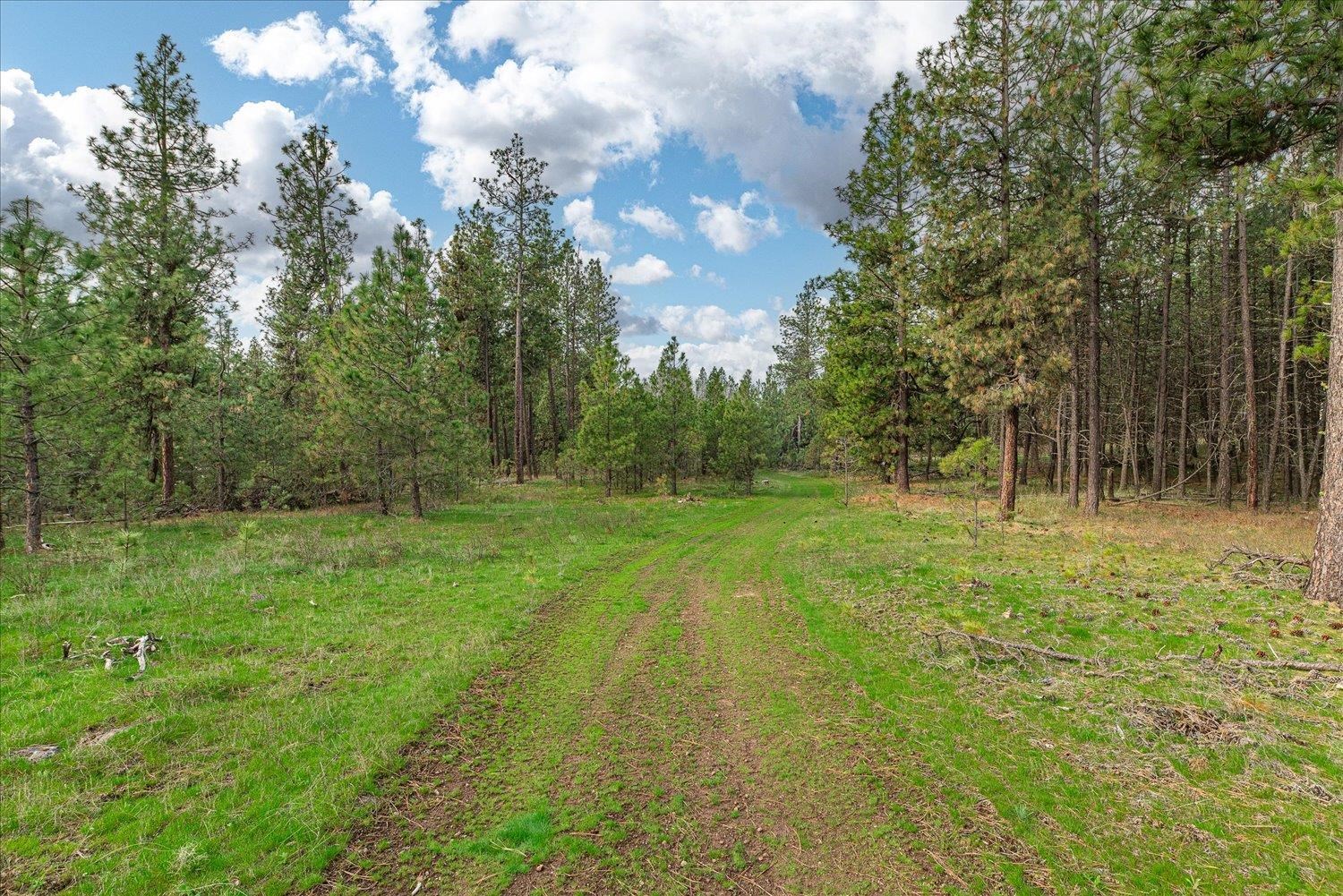 15806 South Stentz Road Spangle, WA 99031 - Photo 1 of 33