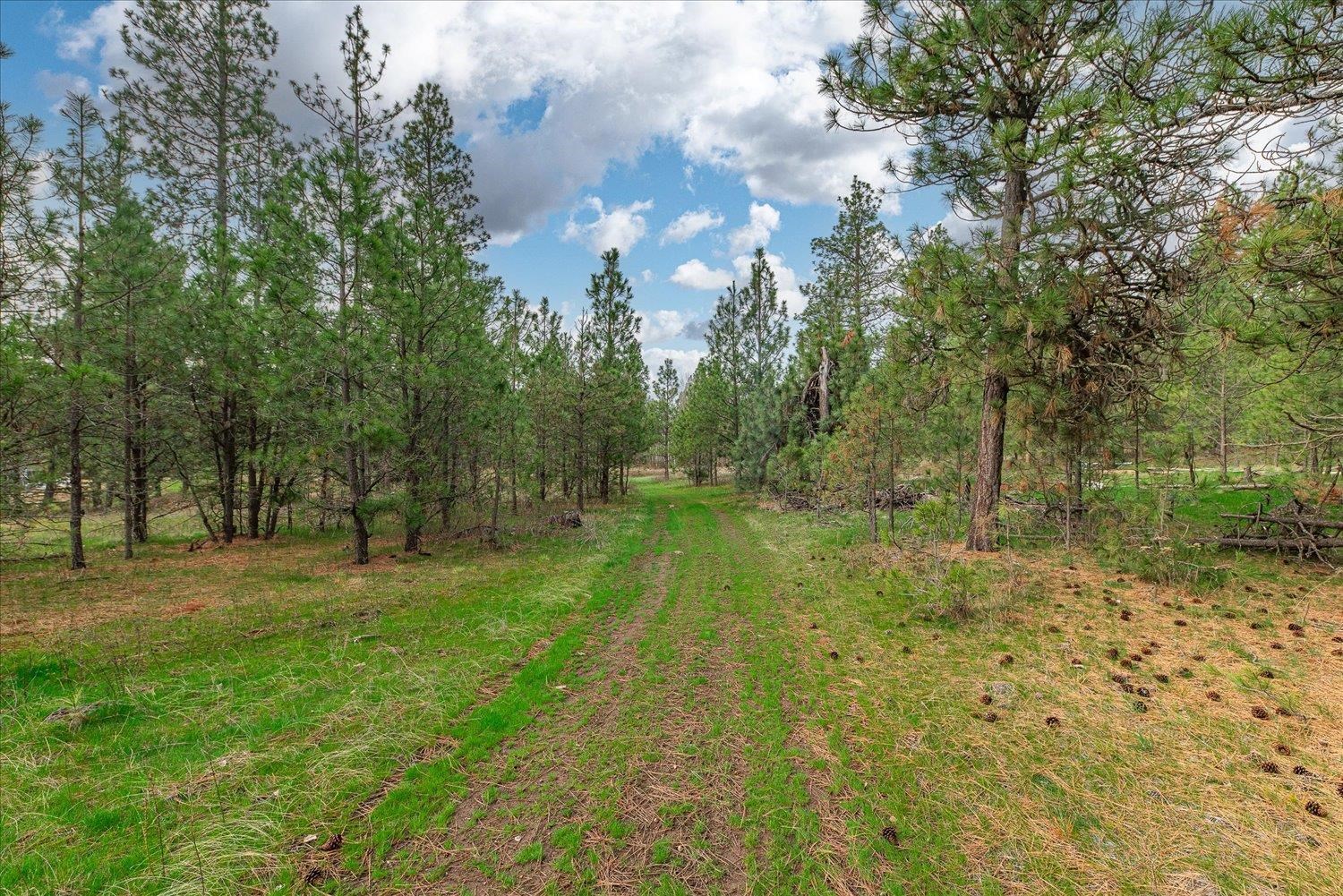 15806 South Stentz Road Spangle, WA 99031 - Photo 11 of 33