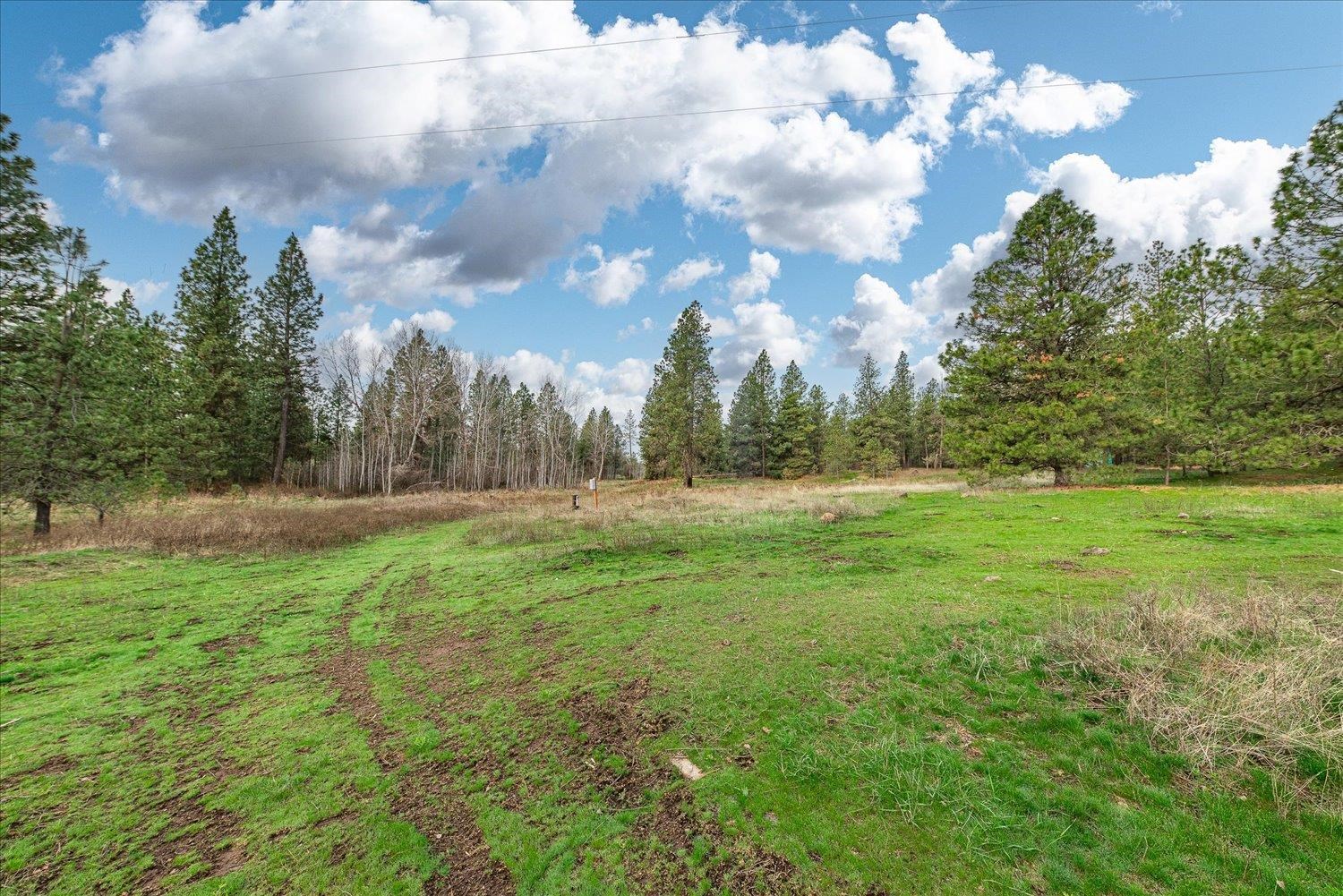 15806 South Stentz Road Spangle, WA 99031 - Photo 12 of 33