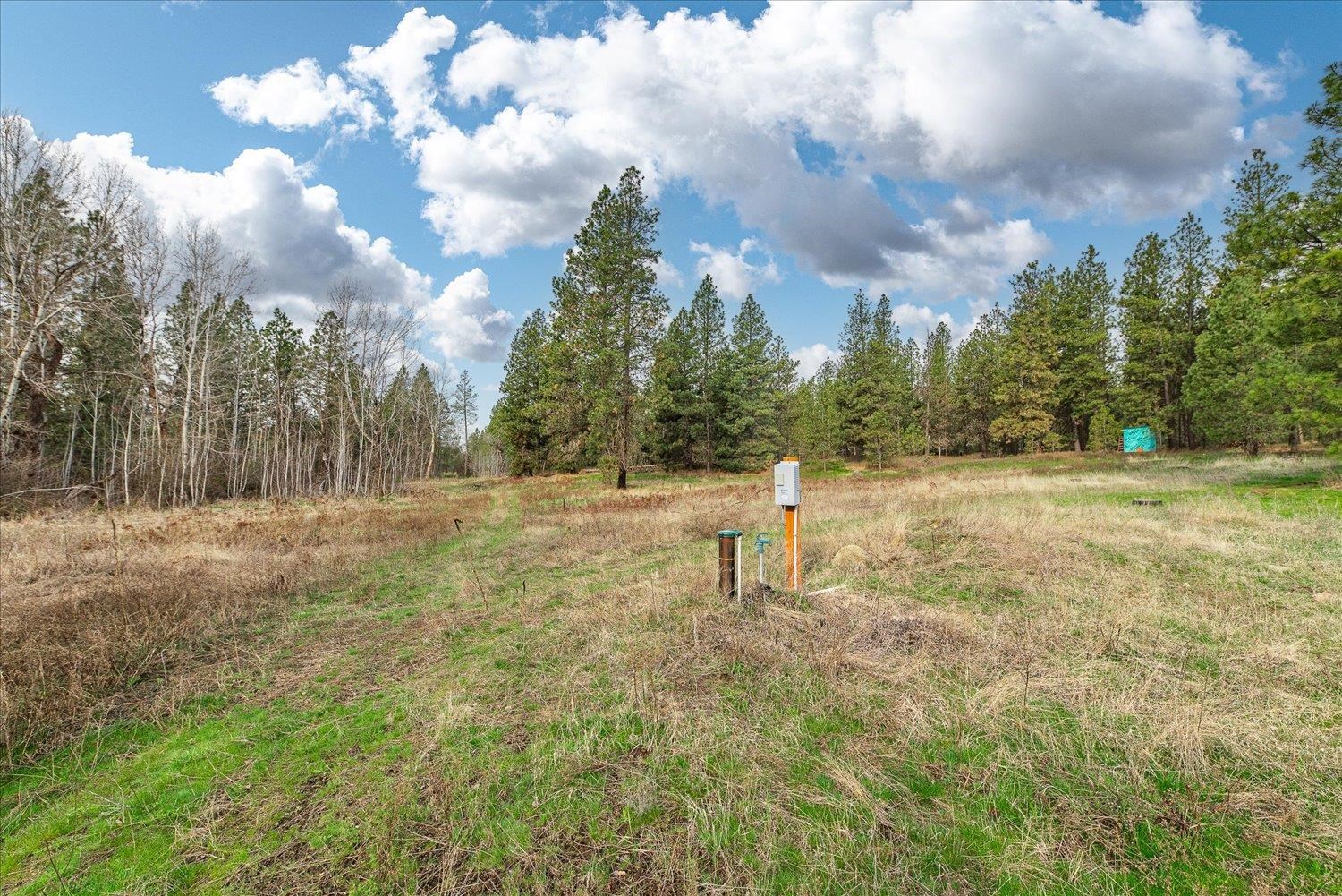 15806 South Stentz Road Spangle, WA 99031 - Photo 13 of 33